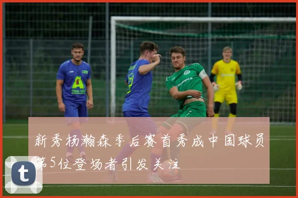 新秀杨瀚森季后赛首秀成中国球员第5位登场者引发关注